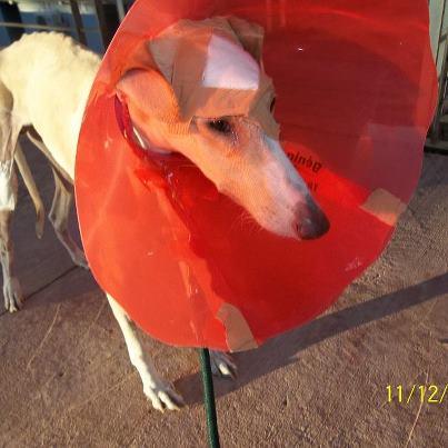 Foto: fractura craneo mejorando