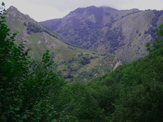 valle moru