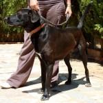 Pon un LEO en tu vida‏.