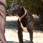 Pon un LEO en tu vida‏.