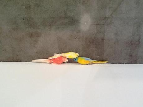 Lo visto en Artissima 2012