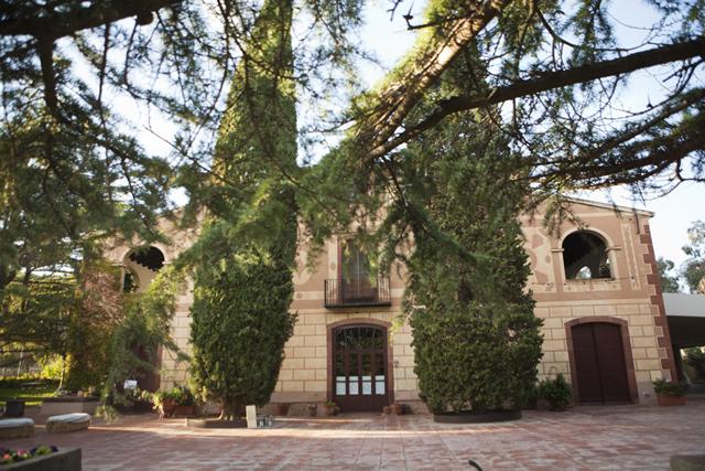 Leaves, Pumpkins and Party #parte1