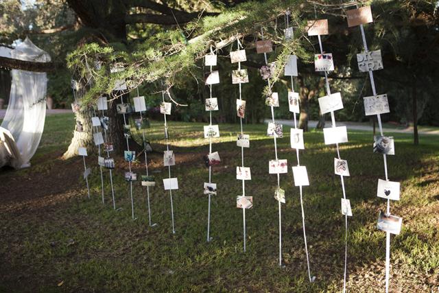 Leaves, Pumpkins and Party #parte1