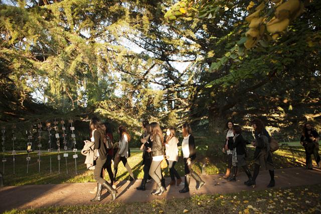 Leaves, Pumpkins and Party #parte1