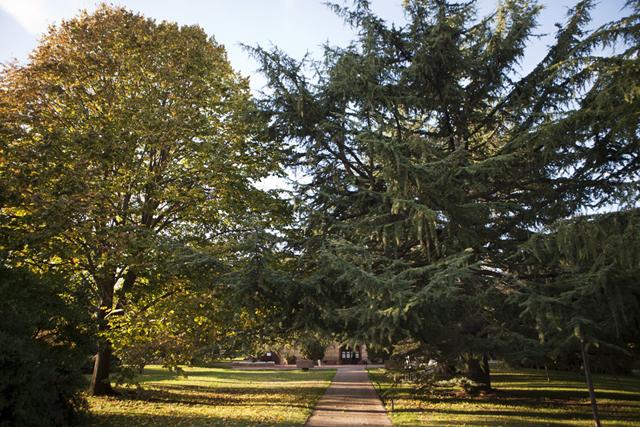 Leaves, Pumpkins and Party #parte1