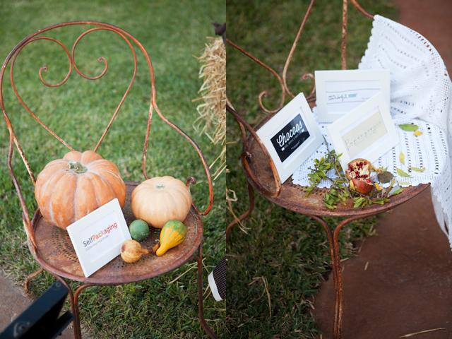 Leaves, Pumpkins and Party #parte1