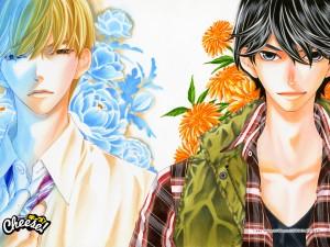 Pin to Kona tardará aún en llegar