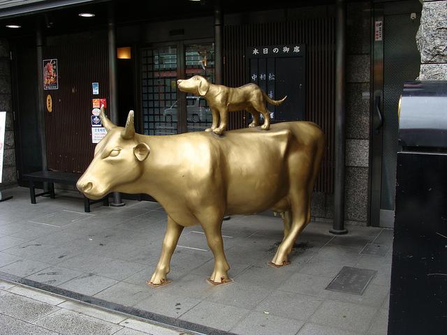 Fotos curiosas : Viaje Agosto 2012 2ª parte