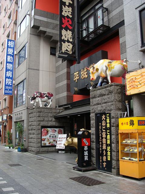 Fotos curiosas : Viaje Agosto 2012 2ª parte