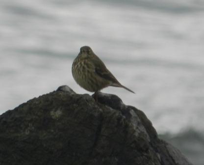 Un repaso a Bañugues