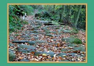 Bárcena de Pie de Concha