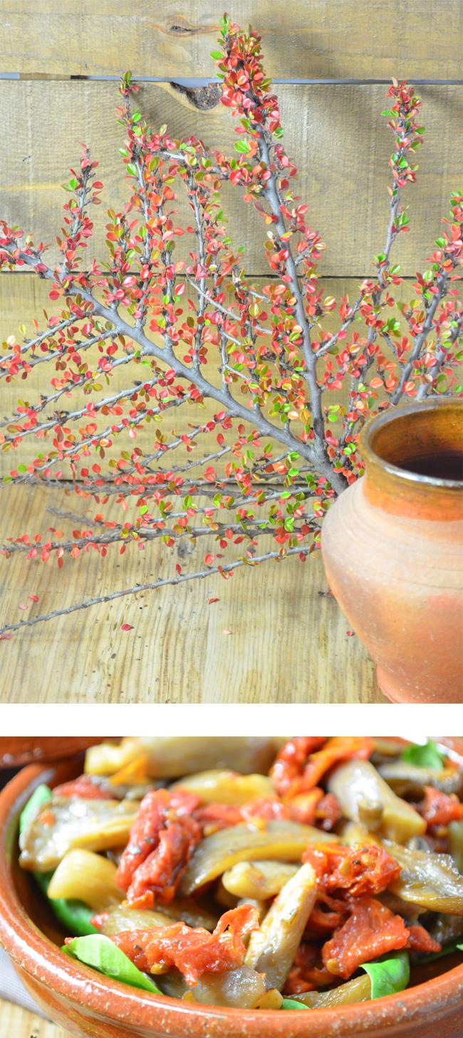 Guiso de Setas picantes con tomate deshidratado