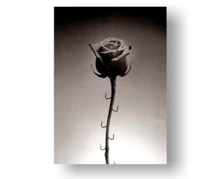 La aventura, la gran aventura, es ver surgir algo descono...