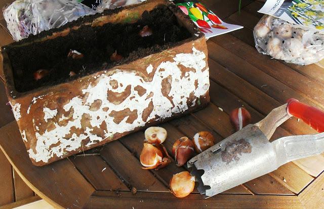 YA ES VIERNES......................(Jardinería).-