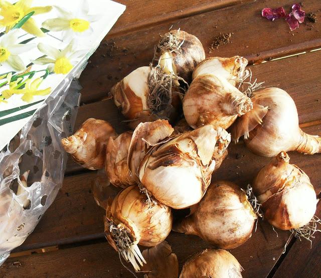 YA ES VIERNES......................(Jardinería).-