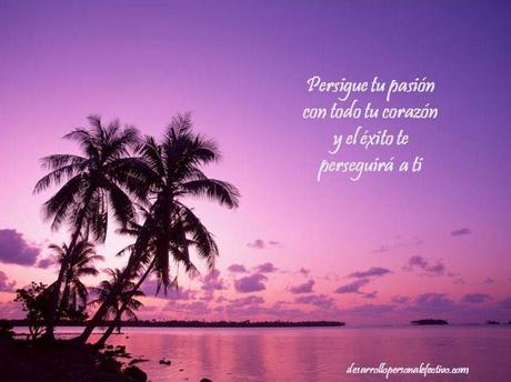 Persigue tu pasión
