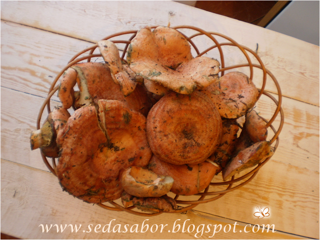 Guisado de níscalos con patatas y chorizo