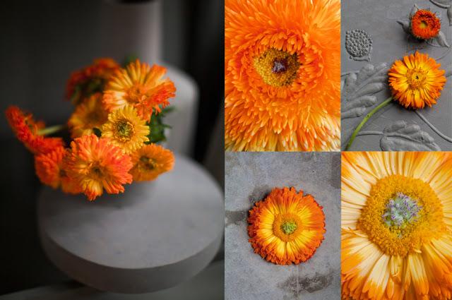 Inspiración: gris + naranja.