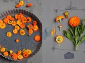 Inspiración: gris naranja.