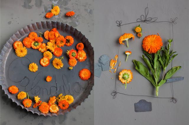 Inspiración: gris + naranja.