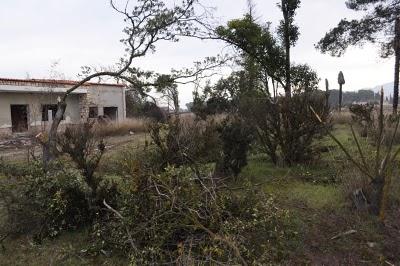 El Jardín del Regajo de Villena