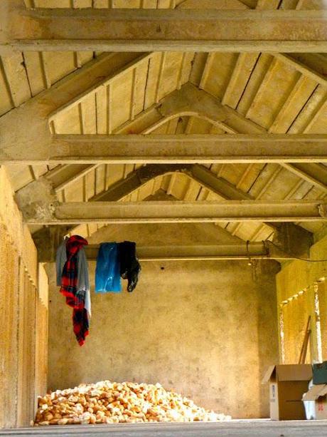 Hórreo gigante en Poio Hórreo gigante en Poio