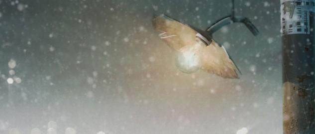 El Primer Festival de tus Hijos