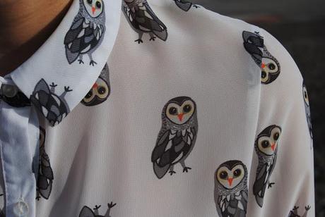 Owls.