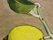 limones