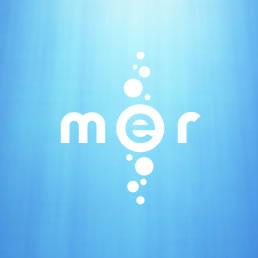 ¿Qué es Mer Project? Nuevo SO de código abierto