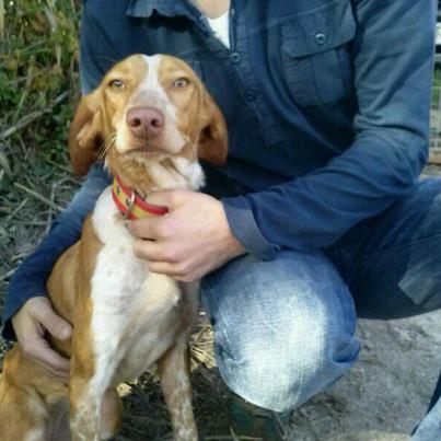 Foto: Soy buena y sumisa