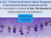 Sabias noviembre celebra Mundial Prematuro?