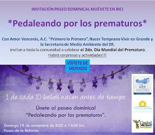 Sabias que el 17 de noviembre se celebra el Día Mundial del Prematuro?