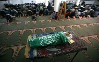 EL POEMA DE GAZA Y LAS IMÁGENES DEL TERROR