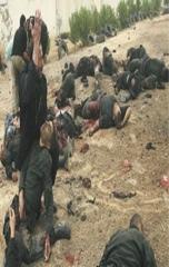 EL POEMA DE GAZA Y LAS IMÁGENES DEL TERROR