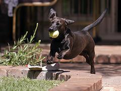 Adicción: el riesgo invisible