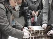 Taller huertos urbanos