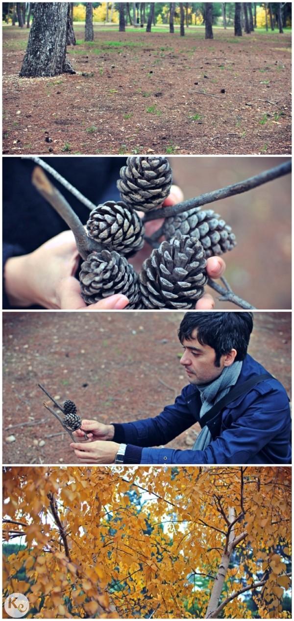 Our first date of Christmas-Collecting pine cones