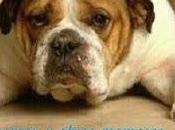 BO-BUN... BOUM!!! rosas....