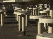 DOCSDF 2012/Ganadores