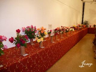 Roses a la Tardor 2012 (I)