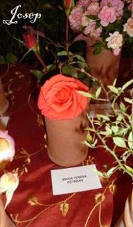 Roses a la Tardor 2012 (I)