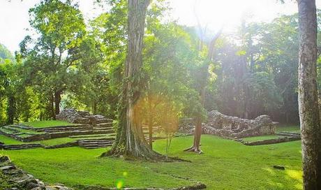 Gobierno mexicano privatizará el oxígeno de la Selva Lacandona