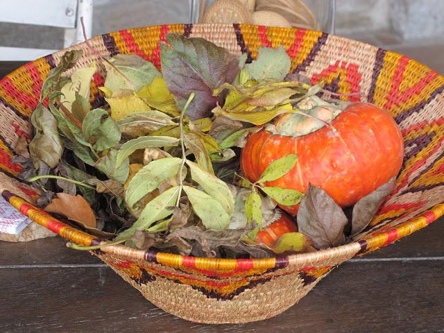 Paseando y recolectando