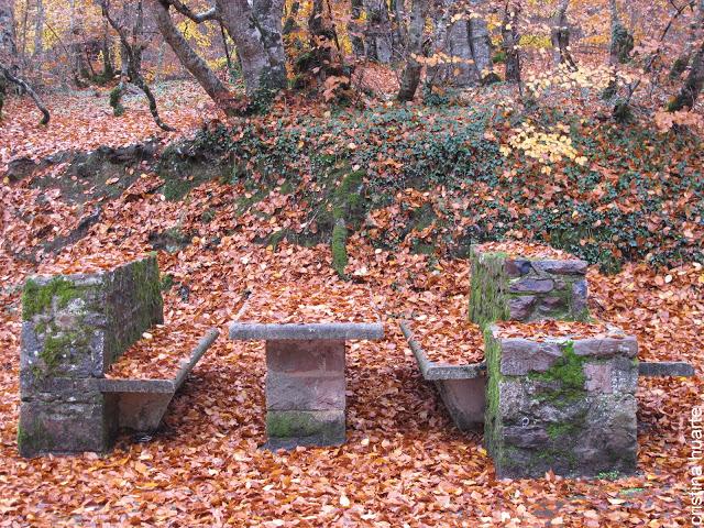 Paseando y recolectando