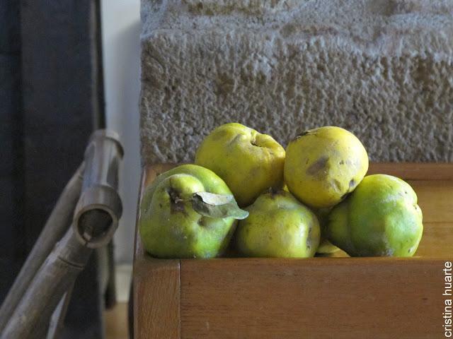 Paseando y recolectando