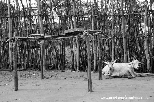 Ibo, de los esclavos al turismo: una isla en blanco y negro