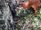 habéis sentido discriminados aspectos imagen algún proceso selección?