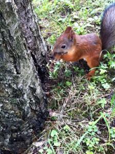 ¿OS HABÉIS SENTIDO DISCRIMINADOS POR ASPECTOS DE IMAGEN EN ALGÚN PROCESO DE SELECCIÓN?