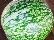 TIEMPO ..............(Calabazas)